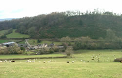 West of Llanbadoc