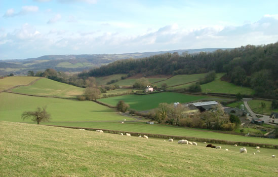 West of Llanbadoc