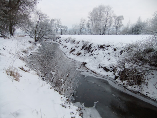 The frozen Olway Brook, near Llanllowell