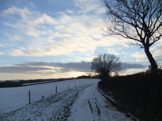 Late afternoon north of Castle Farm, near Usk, 25.12.09