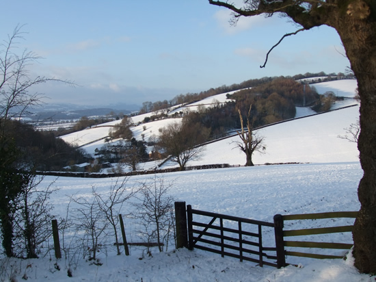 Near Castle Farm, north of Usk