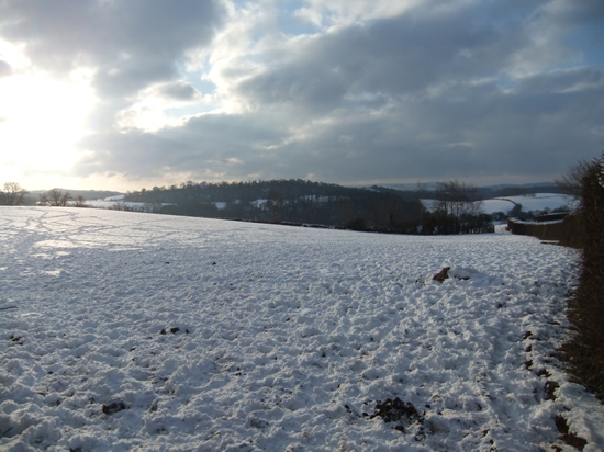 Near Castle Farm, north of Usk