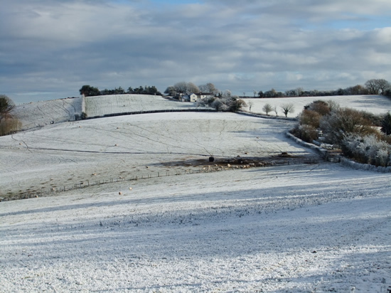 Heavy frost, near Coed Cwnwr