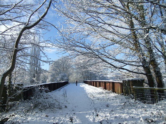 The old railway bridge, Usk