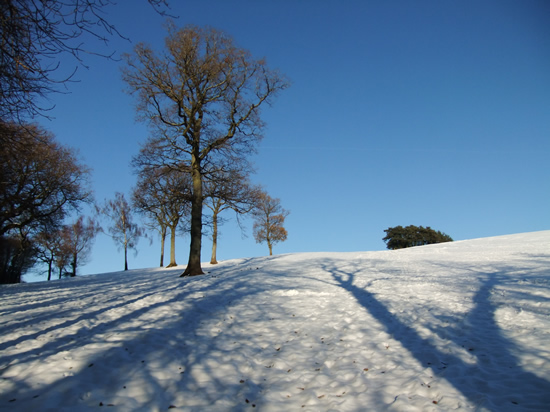 Near Lady Hill Wood, north of Usk