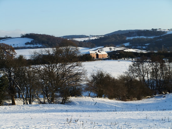 Coed-y-brain, north east of Usk